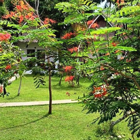 Namaste Bungalows Sakti Exterior foto